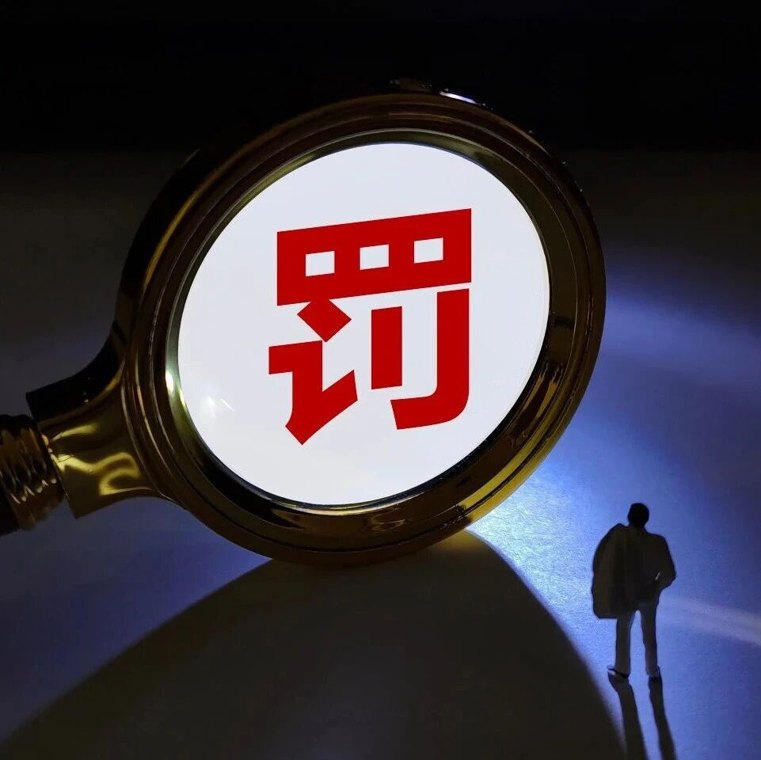 IPO前后四年财务造假，佳缘科技公司及高管合计被罚1450万元